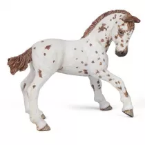 �rebi� Appaloosa
