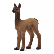 ma�a Lama