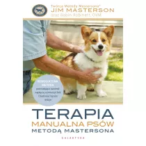 Terapia manualna psw metod Mastersona