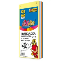 Pastello Przek�adka do segregatora 1/3 A4 120K 12 kolor�w