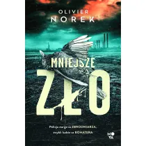 Mniejsze z�o