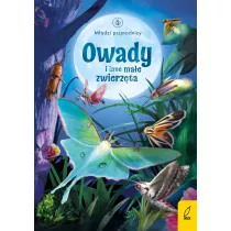 Owady i inne mae zwierzta. Modzi Przyrodnicy