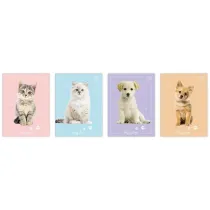 Interdruk Zeszyt do s��wek A6 Puppy Sign 32 kartki 10 szt.