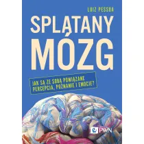 Spl�tany m�zg