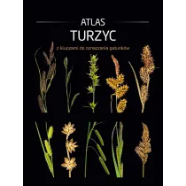 Atlas turzyc z kluczami do oznaczania gatunk�w