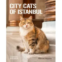 City Cats of Istanbul