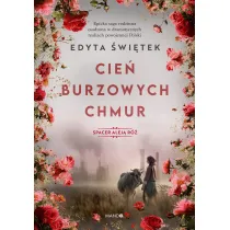 Cie� burzowych chmur. Spacer Alej� R�