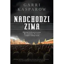 Nadchodzi zima