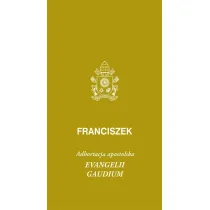 Evangeli gaudium. Adhortacja apostolska