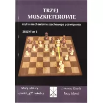 TRZEJ MUSZKIETEROWIE MURY I DZIURY PUNKT G7