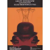 Grupy inters�w a prywatyzacja elektroenergetyki