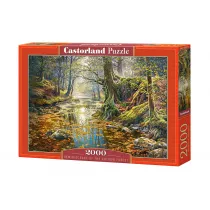 Puzzle 2000 el. Wspomnienie z jesiennego lasu Castorland