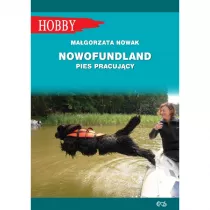 Nowofundlad. Pies pracujcy