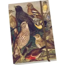 Skona Ting Notatnik ozdobny A5 STNOTE 129 Ptaki