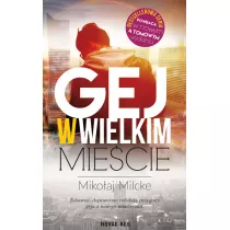 Gej w wielkim miecie. Tom 1