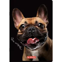 Herlitz Zeszyt A4 Crazy Animal z marginesem kratka 60 kartek