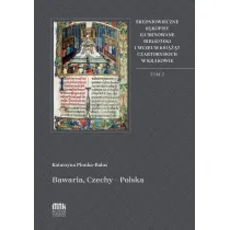 �redniowieczne r�kopisy iluminowane T.2