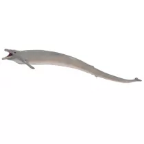 Dinozaur Bazylozaur