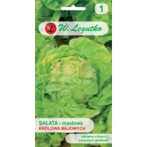 W.Legutko Sa�ata g�owiasta mas�owa May King (Kr�lowa Majowych) nasiona 1 g