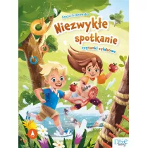 Niezwyke spotkanie. Czytanki sylabowe