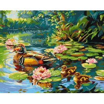 Ideyka Malowanie po numerach - Kacza rodzina 40x50cm