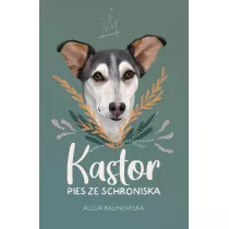 Kastor. Pies ze schroniska