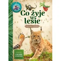 Mody obserwator przyrody - Co yje w lesie