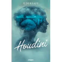 Houdini