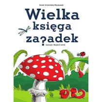 Wielka ksiga zagadek