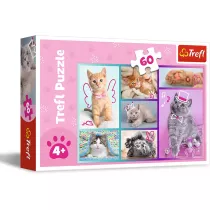 Puzzle 60 el. Sodkie kociaki Trefl