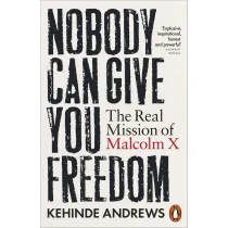 Nobody Can Give You Freedom