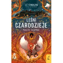 Leni czarodzieje. Miasto tajemnic. Tom 2
