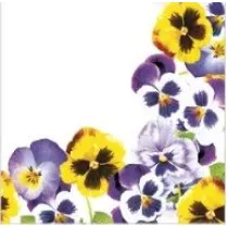 Serwetki Lunch Daisy - Pansies Frame SDWI009601