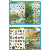 Visual System Podkadka edukacyjna. Pitrowo w grach i lesie