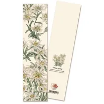 Tassotti Zakadka do ksiki 9113 Stelle Alpine Szarotka