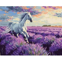 Ideyka Malowanie po numerach - W lawendowych polach 40x50cm