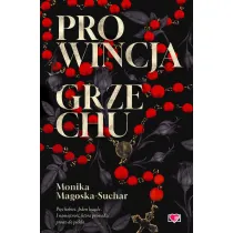 Prowincja grzechu