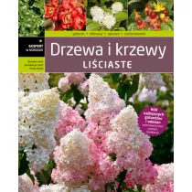 Drzewa i krzewy li�ciaste