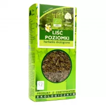 Dary Natury Herbatka li poziomki 25 g Bio