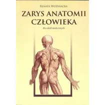 Zarys anatomii cz�owieka
