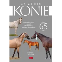 Konie Atlas ras