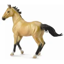 Klacz Akhal Teke Buckskin