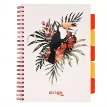 Koozeszyt Strigo A4 Project Book Pelikan biay w kratk