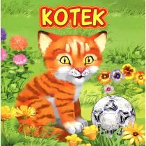 Kotek JAFI