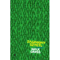 Zaginiony sztetl