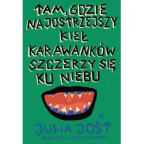 Tam, gdzie najostrzejszy kie� Karawank�w szczerzy si� ku niebu
