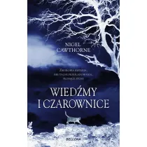 Wied�my i czarownice