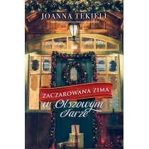 Zaczarowana zima w Olszowym Jarze. Olszowy Jar. Tom 1 (pocket)