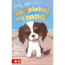 Bari, wymarzony piesek. Zaopiekuj si mn