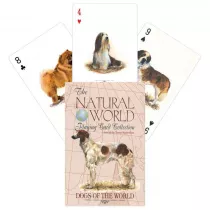 Dogs Of The World, karty do gry